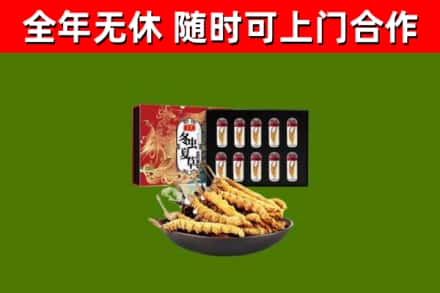 平房区烟酒回收冬虫夏草礼盒.jpg